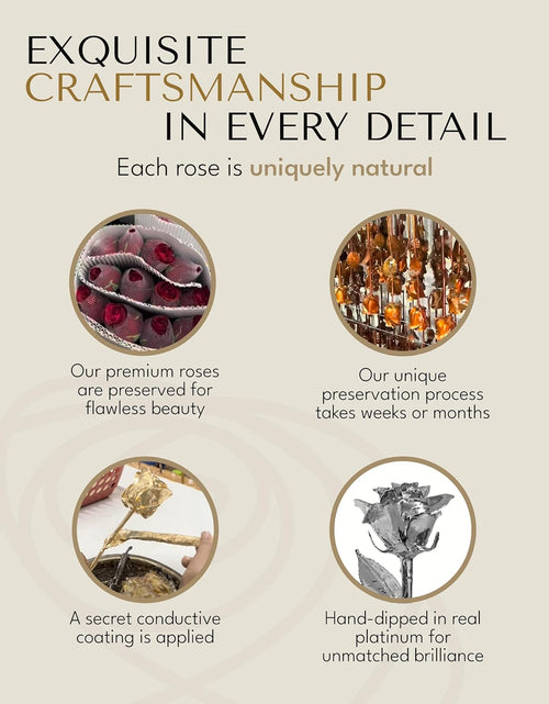 Load image into Gallery viewer, Real Platinum Rose, Genuine One of a Kind Rose Hand Dipped in Platinum to Last a Lifetime
