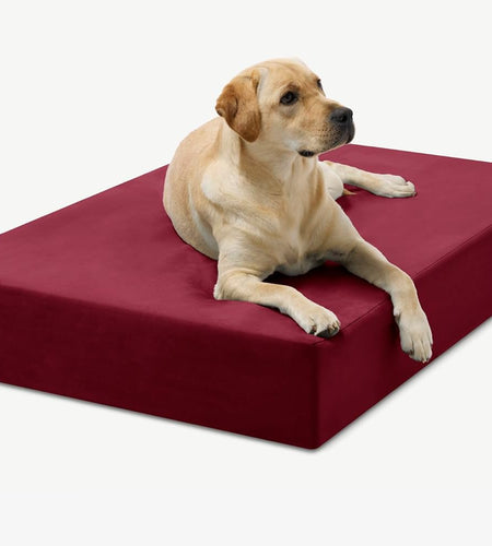 Barker Beds Large Orthopedic Dog Bed - 7" Memory Foam Mattress - 50-70 Lbs - Joint Pain & Arthritis Support - Vet Recommended, Washable Cover - Made in USA - 48"X30"X7" - Burgundy